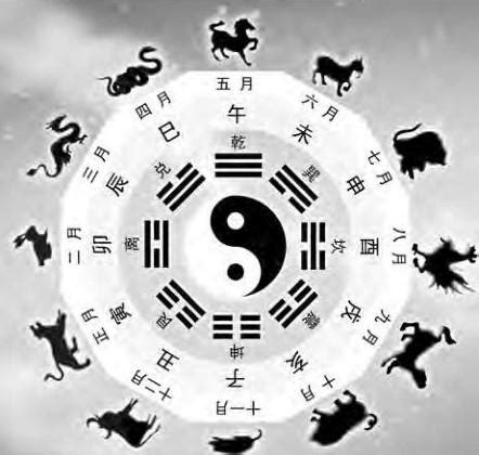 生肖 天干|天干地支与十二生肖